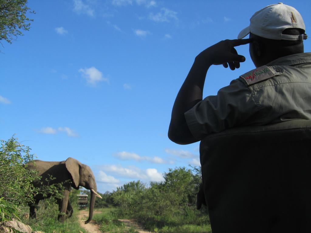 Greenfire Game Lodge บาลูเลเกมรีเซิร์ฟ ภายนอก รูปภาพ